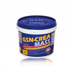 GSN CREA MASS 2KG