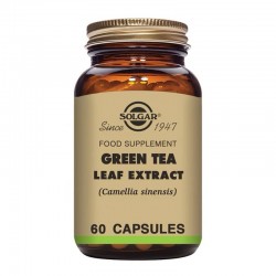 SOLGAR TÉ VERDE 60CAP