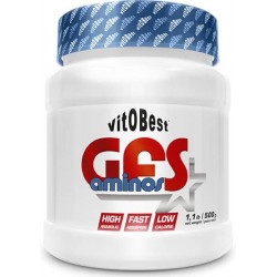 VITOBEST GFS AMINOS 500GR