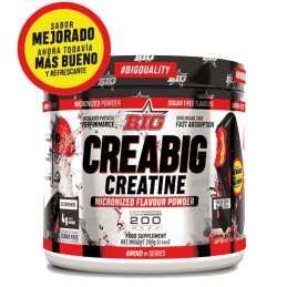 BIG CREABIG 200 MESH - 250GR