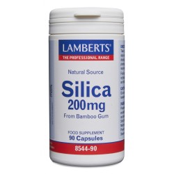 LAMBERTS SILICIO 200mG - 90...