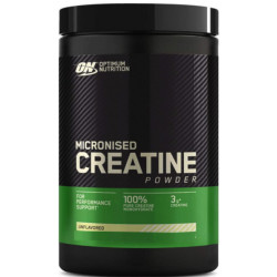 OPTIMUM NUTRITION CREATINE POWDER 317 GR