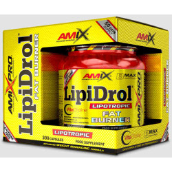 AMIX LIPIDROL 300 CAP