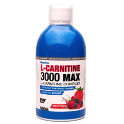 QUAMTRAX L-CARNITINE 3000 MAX 500 ML