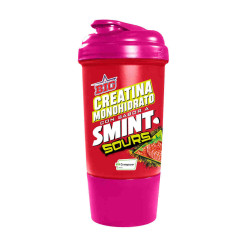 SHAKER SMINT FRESA 500 ML DE BIG